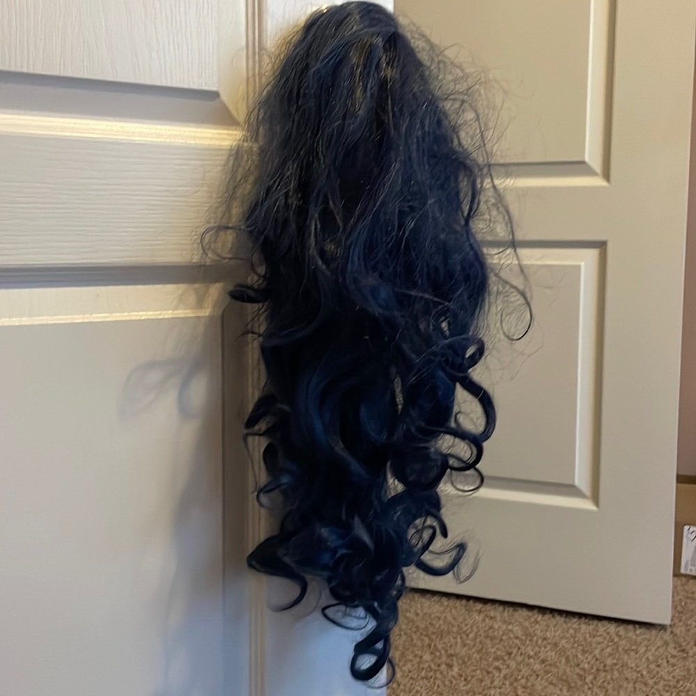 Blue wig - used 1 time for Halloween